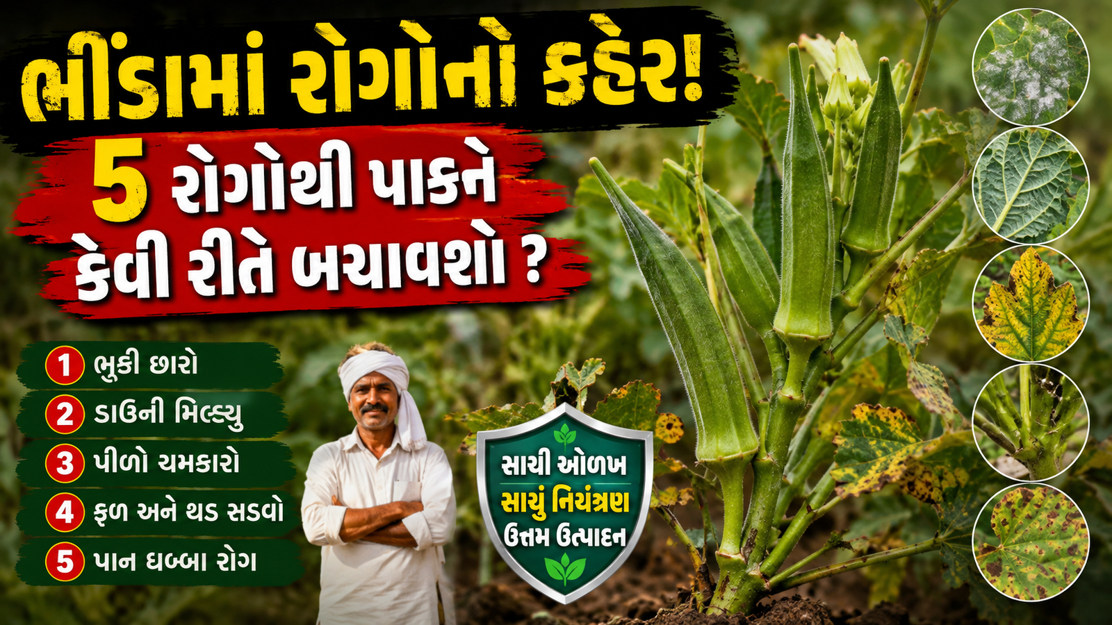 ભીંડામાં રોગોનો કહેર! 5 રોગોથી પાકને કેવી રીતે બચાવશો ?